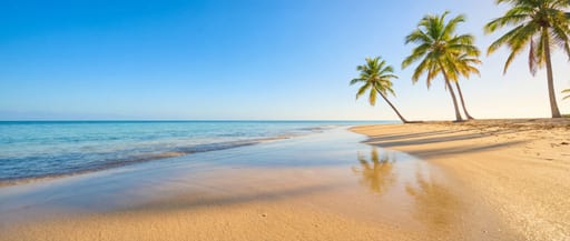 Golden Hour Soft Sandy Beach