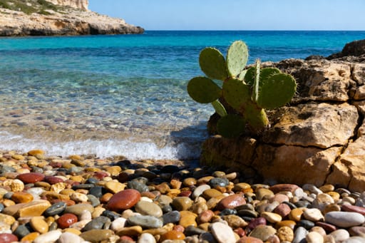 Maltese Pebble Beach Midday Sun