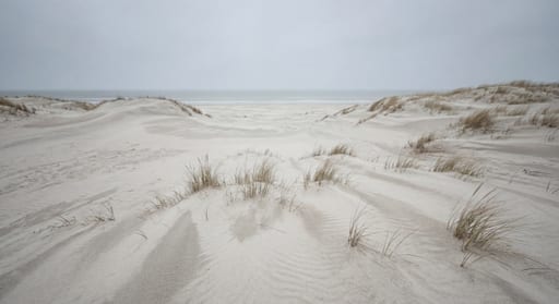 Pale Baltic Sea Sand Dunes