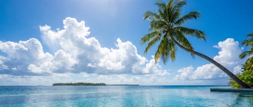 Infinity Pool Tropical Island View