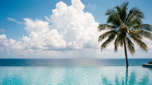 Infinity Pool Ocean View