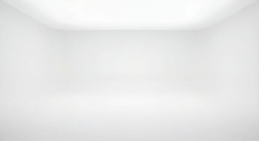 Infinite Seamless White Studio Backdrop