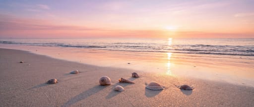 Serene Beach at Dawn