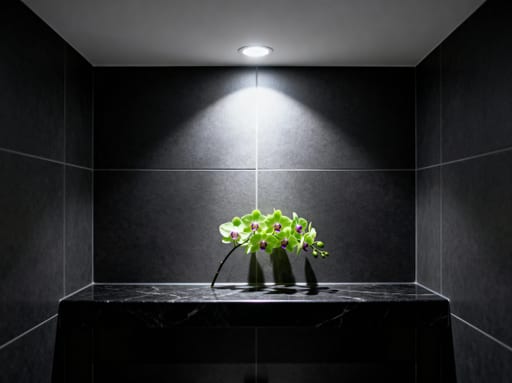 Modern Bathroom Natural Accent