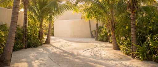 Sun-Drenched Resort Path