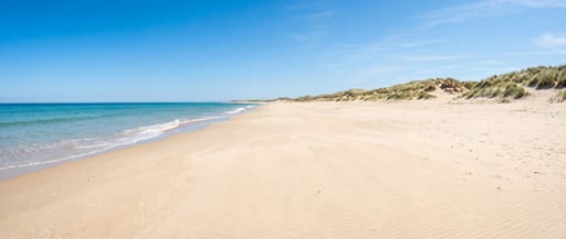 Expansive Beach Rolling Dunes