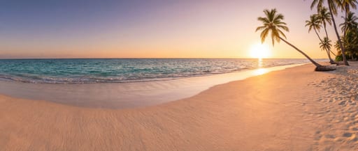 Golden Hour Beach Panorama
