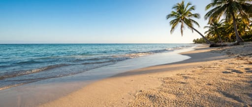 Golden Hour Tropical Beach Scene