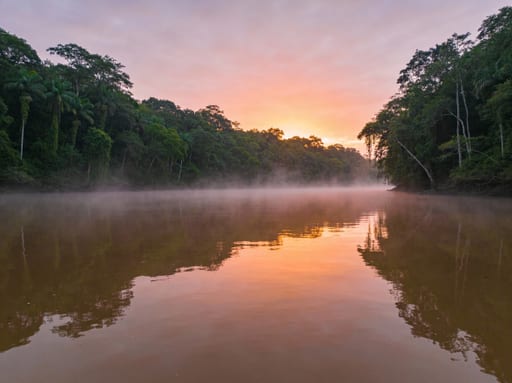 Amazon River at Dawn Mist